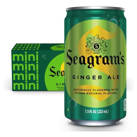 10 Mini Cans Seagrams Ginger Ale