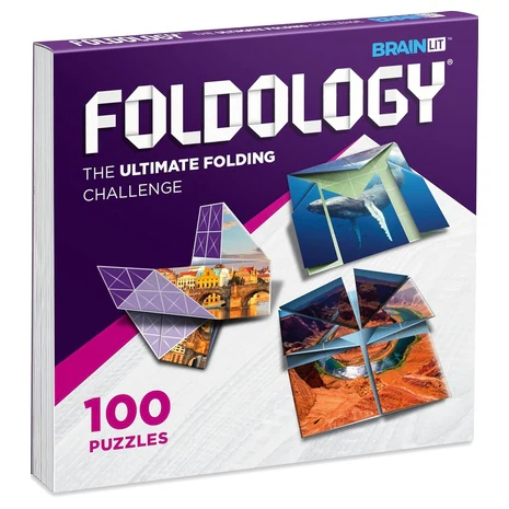 100 Origami Brain Teaser Puzzles