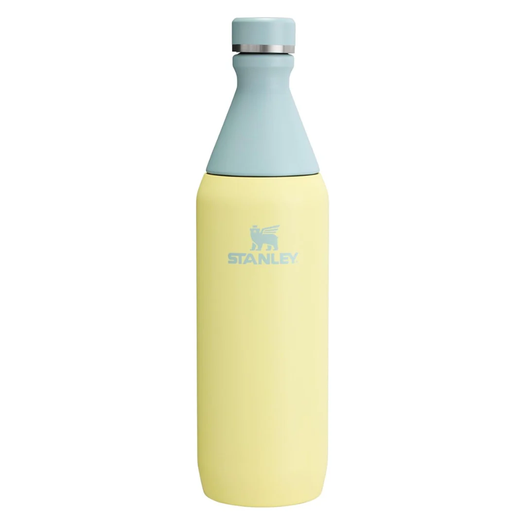 20-Oz Stanley Leakproof Twist On Lid Design Slim Bottle