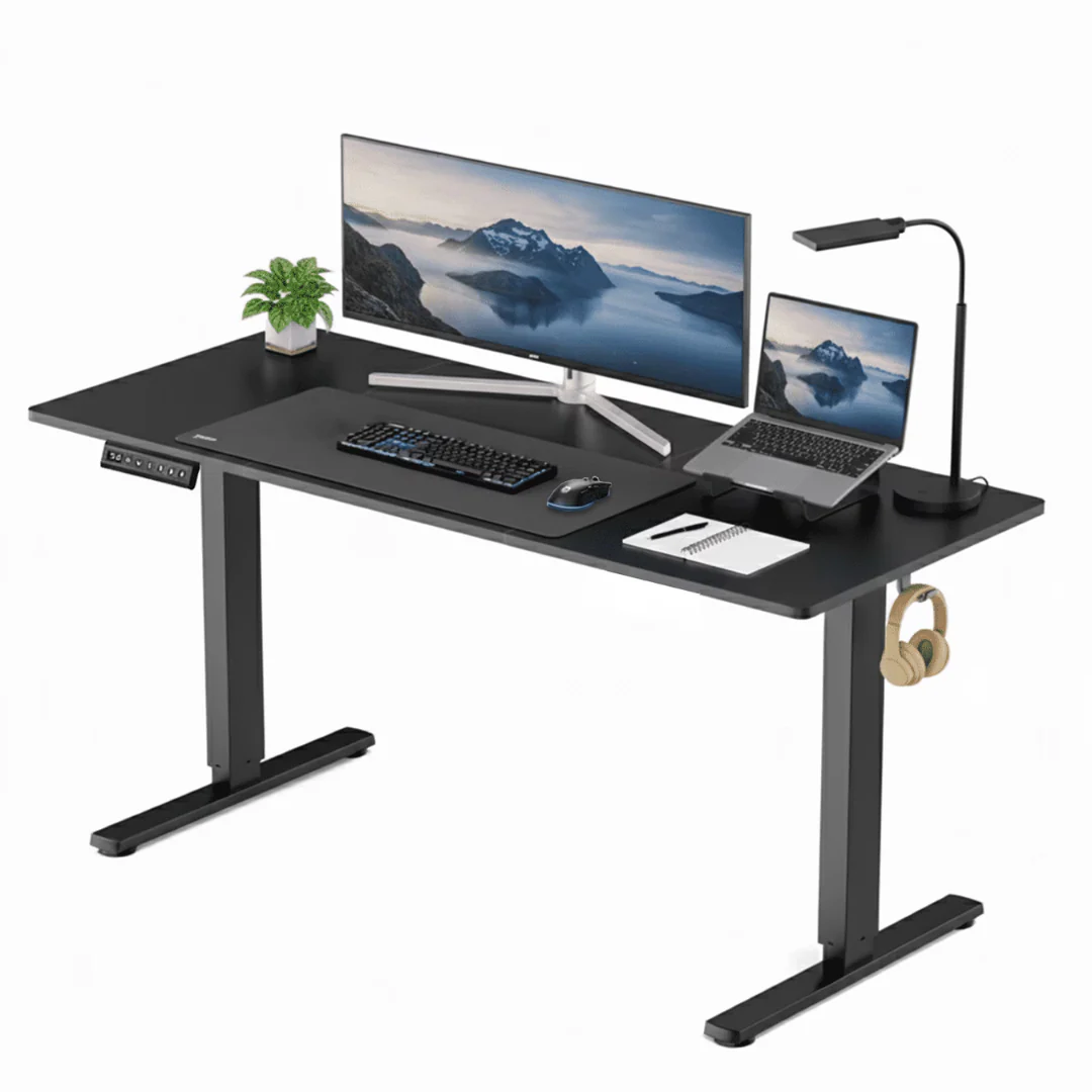 CONCETTA 63''x24'' Height Adjustable Electric Standing Desk
