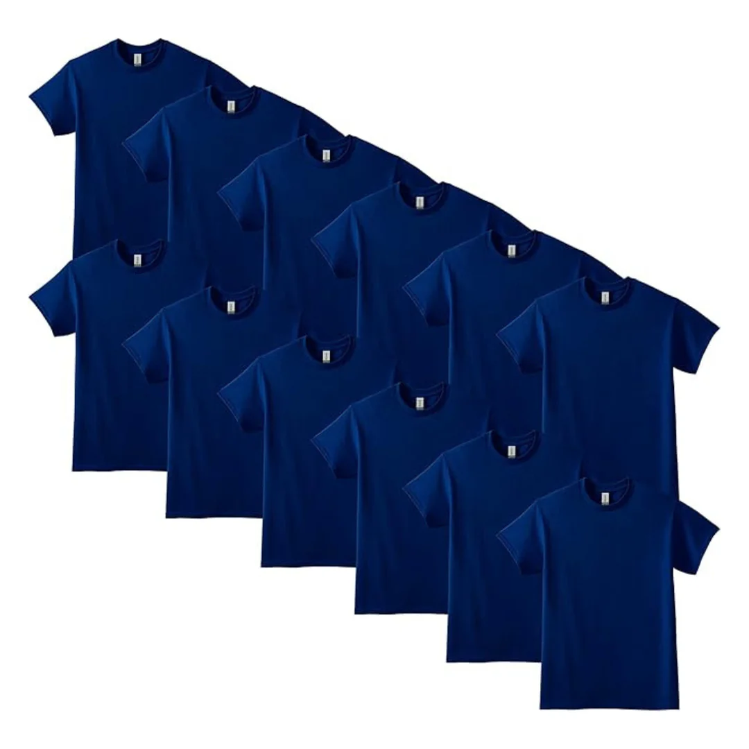 Gildan Adult DryBlend T-Shirt (Multipack, Style G8000)