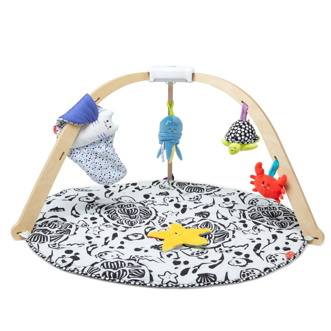 Melissa & Doug Ocean Wooden Baby Play Gym