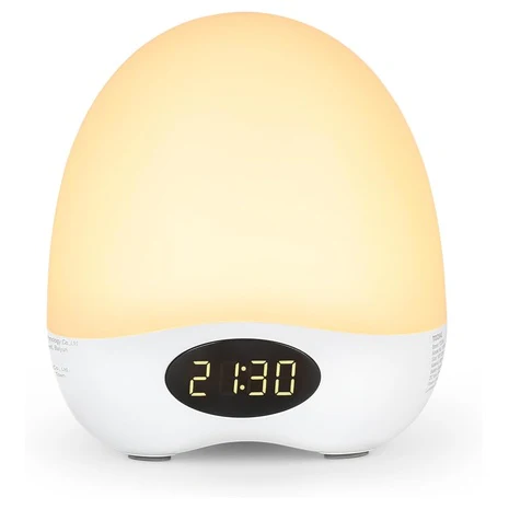 Portable Dimmable Night Light